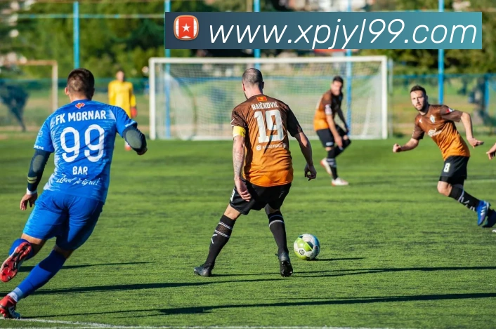 xpj服务体系
